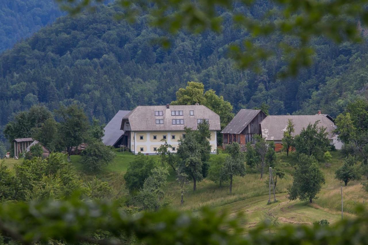 Apartment Krnicar Zgornje Gorje Eksteriør billede