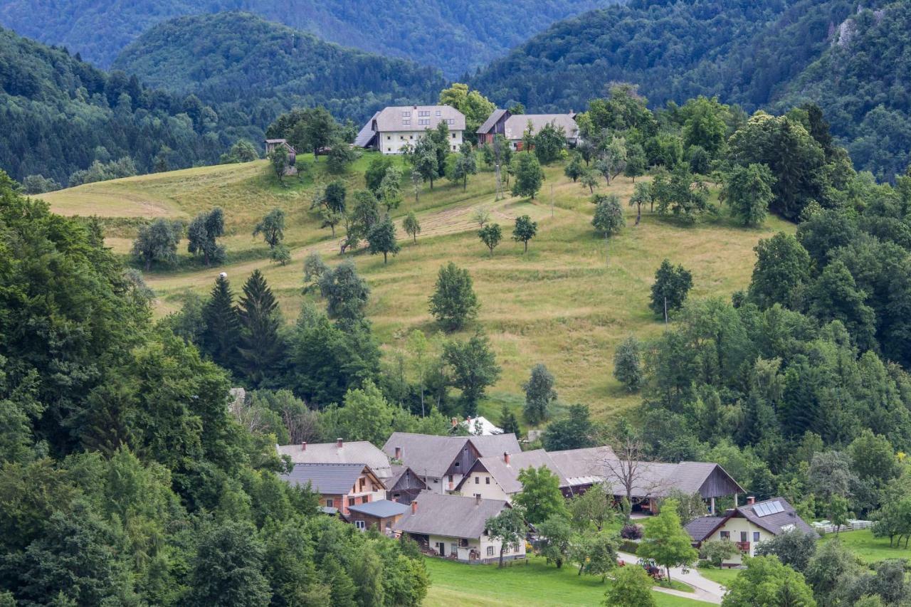Apartment Krnicar Zgornje Gorje Eksteriør billede