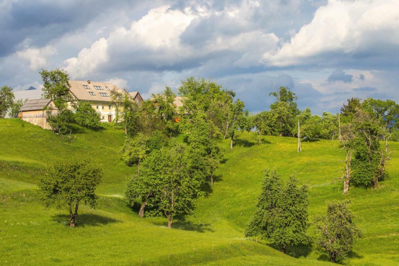 Apartment Krnicar Zgornje Gorje Eksteriør billede