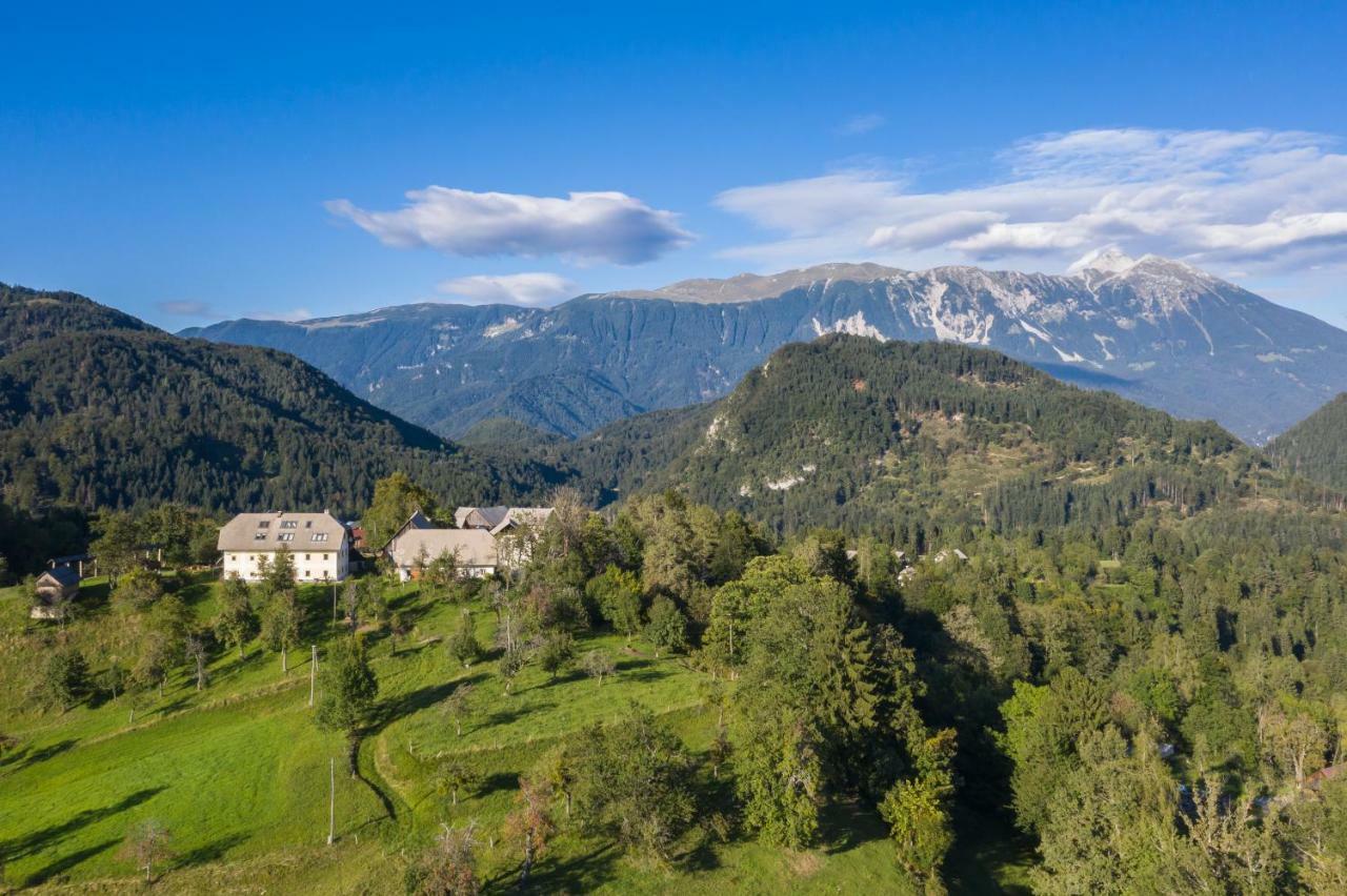 Apartment Krnicar Zgornje Gorje Eksteriør billede