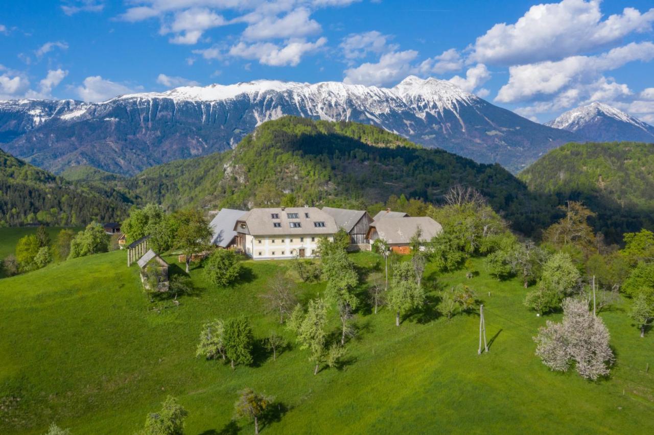 Apartment Krnicar Zgornje Gorje Eksteriør billede