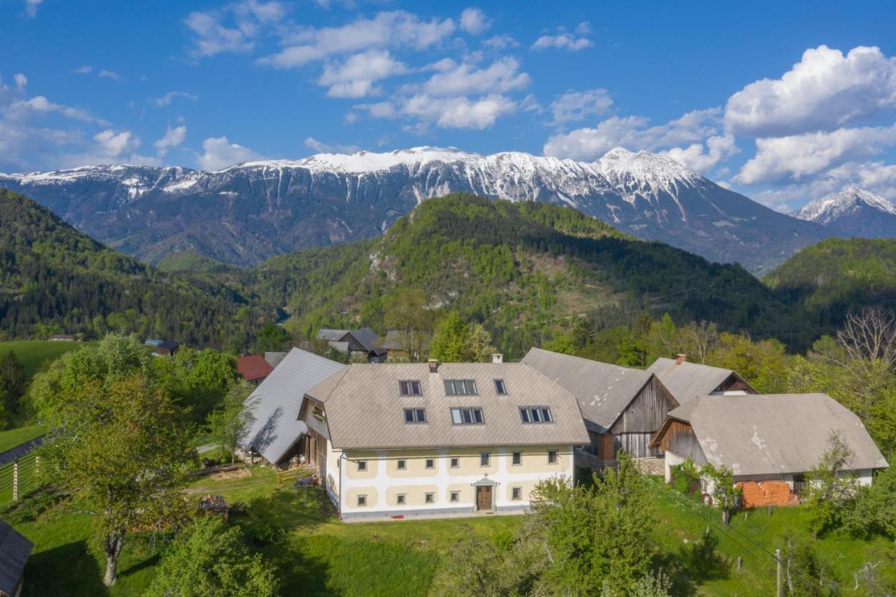 Apartment Krnicar Zgornje Gorje Eksteriør billede